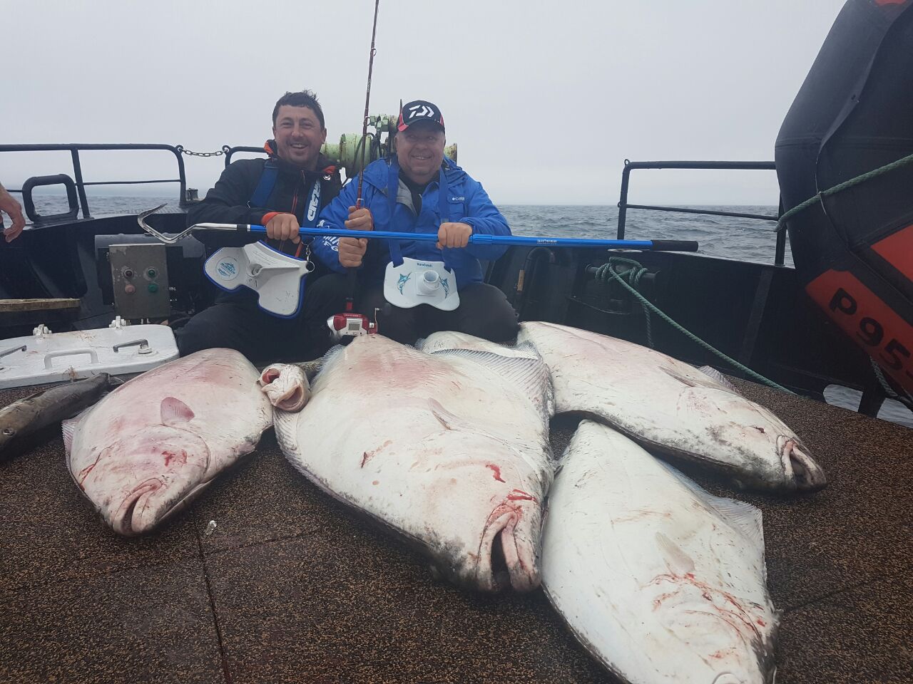 Багор BLUE MARLIN, голова 5" дюймов, из нержавеющей стали 304, раздвижной, с ручкой из морского алюминия, длина 90-180cm — изображение 9