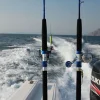Блю Марлин BMF08D 2speed mult — изображение 5