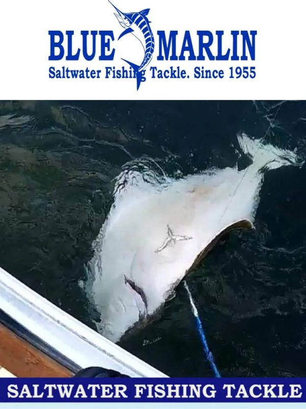 Набор для трофейной рыбалки 2+1 BLUE MARLIN состоящий из рукоятки 90-180см, головки багра 4", головки гарпуна, мощного троса и чехла — изображение 2