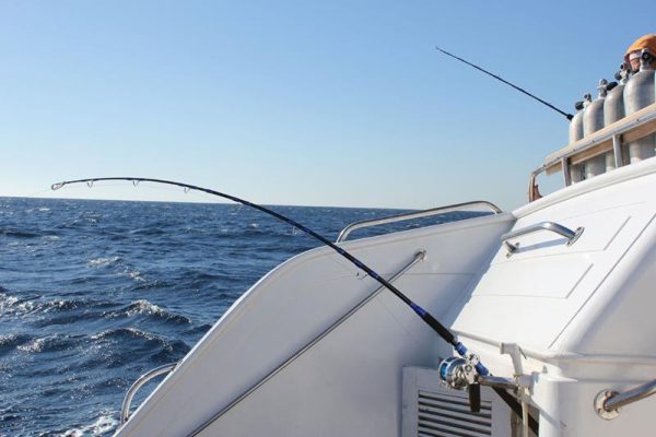 Заглубитель для глубоководного троллинга Blue Marlin 118гр 24см — изображение 4