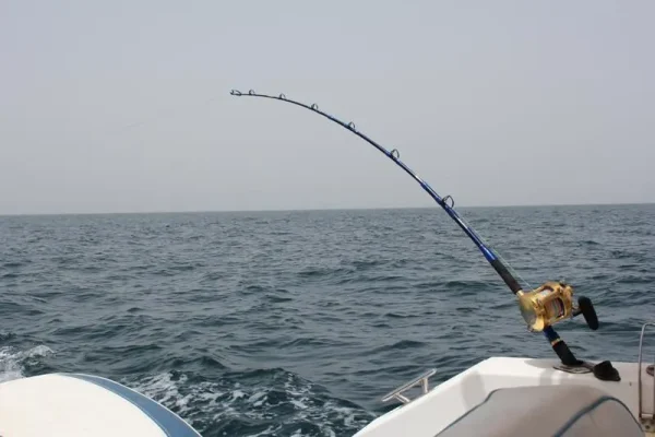 Катушка 2-х скоростная мультипликаторная BLUE MARLIN, BMF 12Л, леворукая. Две скорости, двойная тяга, две передачи 4.5:1/2.2:1 — изображение 6